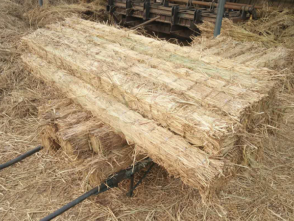 使用條形草支墊，原來(lái)還有這些效果！