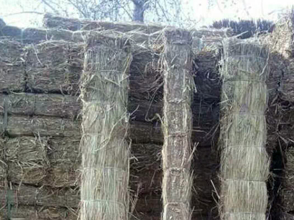 如何延長(zhǎng)條形草支墊使用壽命？