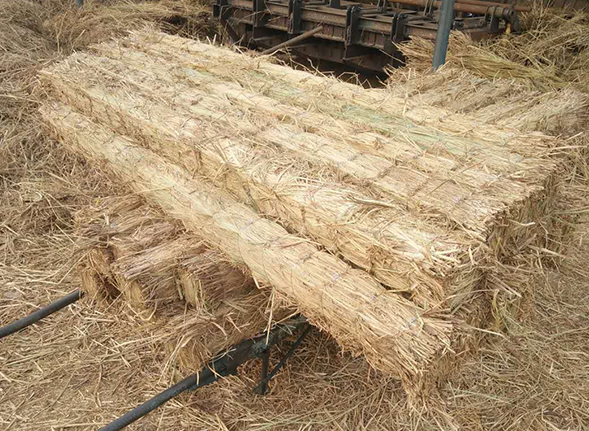 條形草支墊 條形草支墊