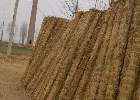 條形草支墊 條形草支墊