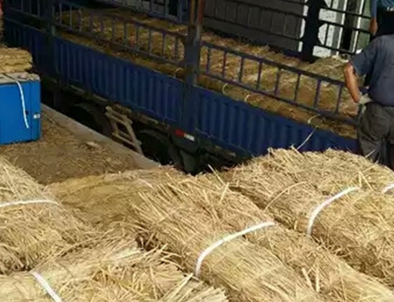 條形草支墊 條形草支墊